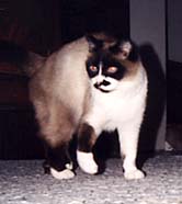 Nick