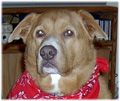 Roscoe